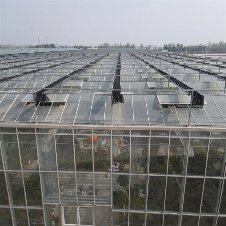 Large Greenhouse Frame best