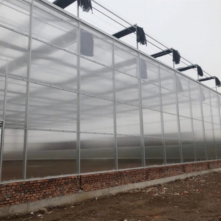 Multi-span PC Board Greenhouse suppliers